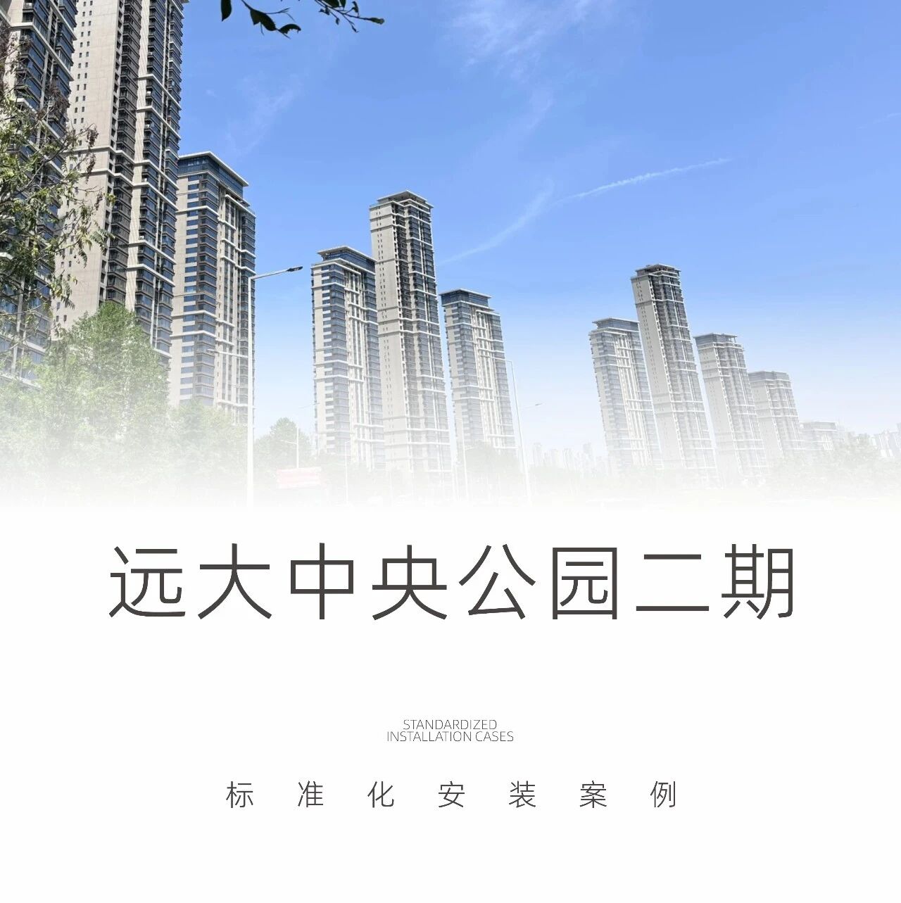 主标题